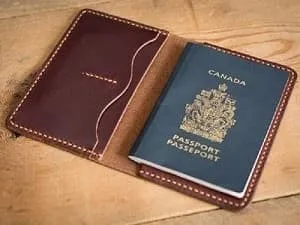 vi passport-min